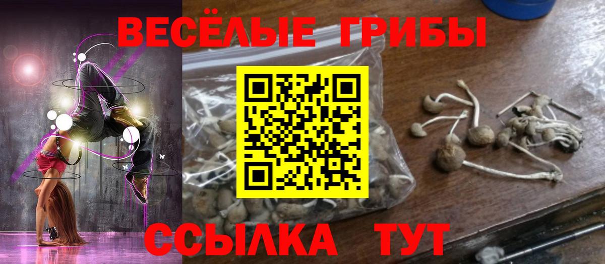 Псилоцибиновые грибы GOLDEN TEACHER Лабытнанги